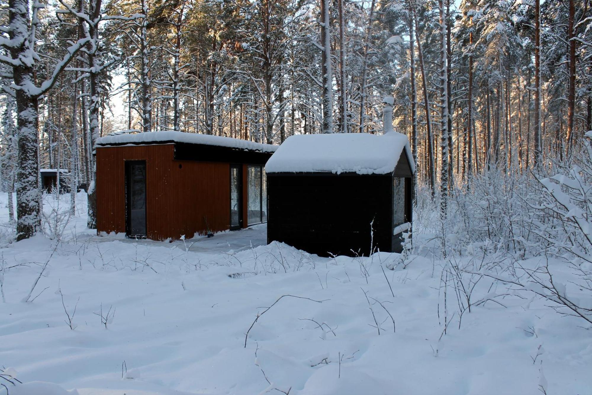 Minimaja Ja Saunamaja Vaatega Maennimetsale Syytme